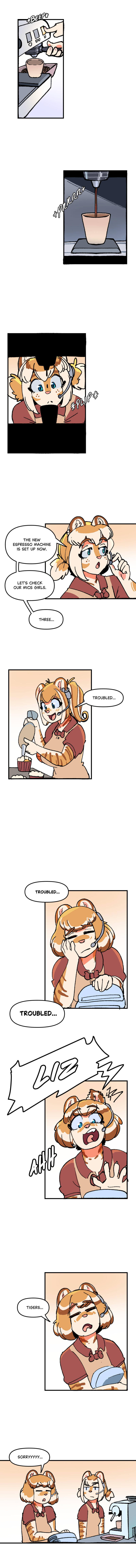 WN 082
